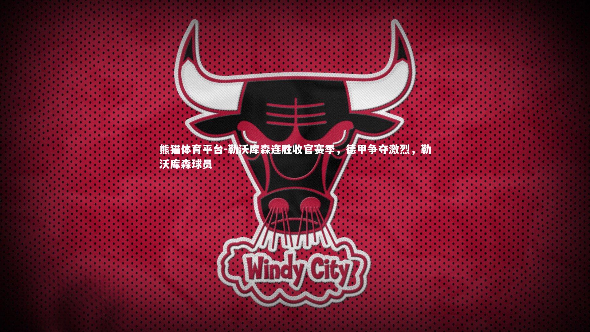 勒沃库森连胜收官赛季，德甲争夺激烈，勒沃库森球员