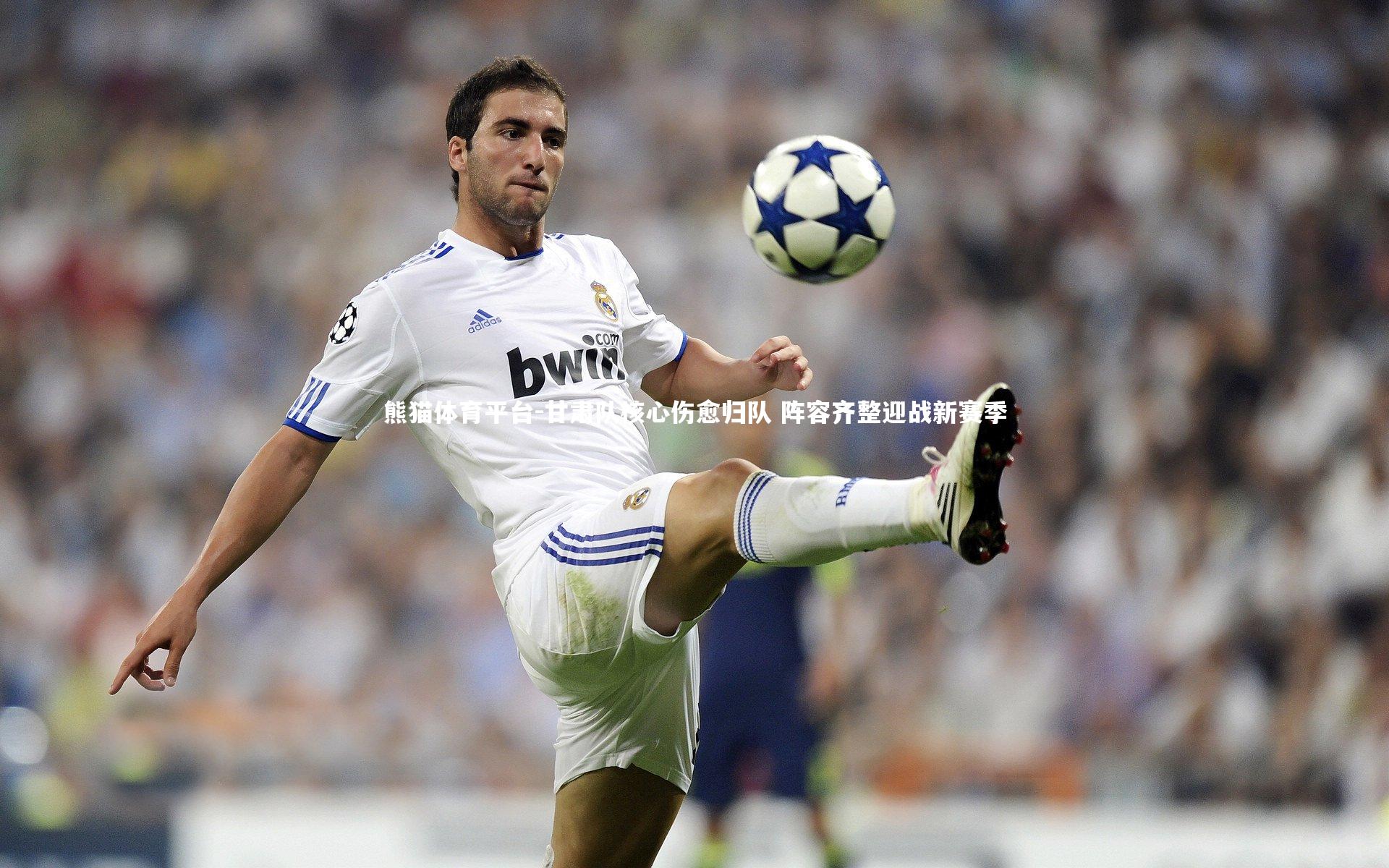 甘肃队核心伤愈归队 阵容齐整迎战新赛季