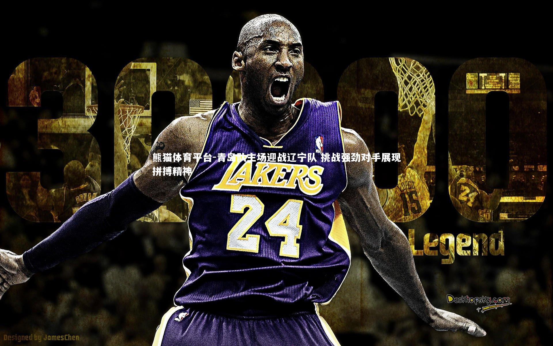 青岛队主场迎战辽宁队 挑战强劲对手展现拼搏精神