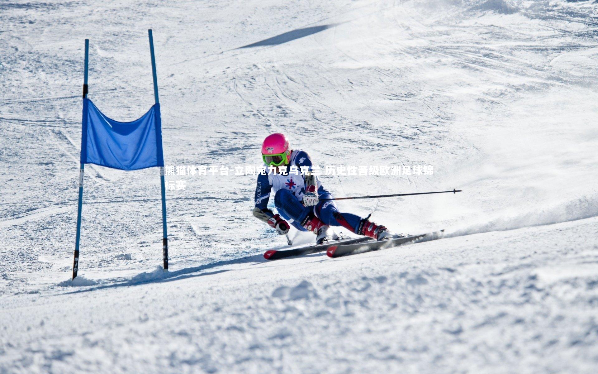 立陶宛力克乌克兰 历史性晋级欧洲足球锦标赛